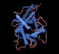 Krystalická struktura interleukinu-1 alfa