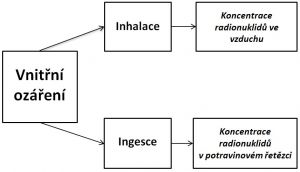 Kvantifikace vnitřního ozáření