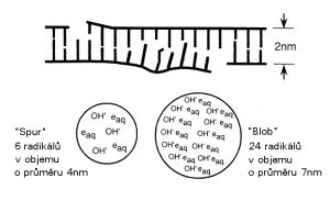 Tvorba vícečetných lokálních poškození