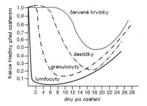 Vývoj počtu různých krvinek během prvních 4 týdnů po ozáření letální dávkou (LD50)