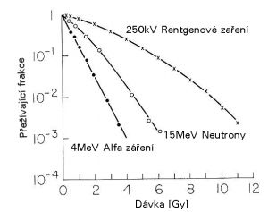 Vliv kvality záření na tvar a sklon křivky přežívání