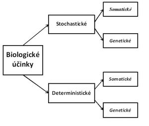 Biologické účinky ionizujícího záření s ohledem na charakter postižení