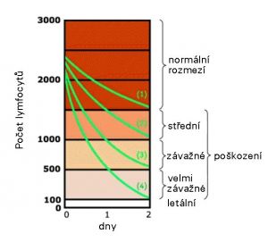 Andrewsův lymfocytární nomogram