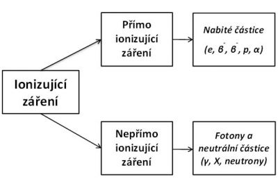 Dva druhy ionizujícího záření