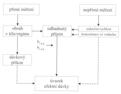 Vztahy mezi veličinami stanovitelnými měřením a úvazkem efektivní dávky
